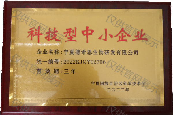 zhongxiaoxin.png